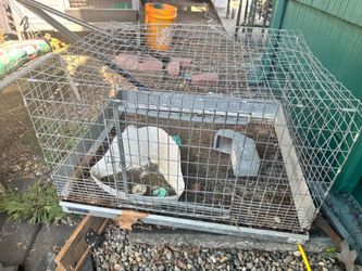 Free rabbit hutches