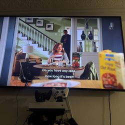 65” Tv With Mount 
