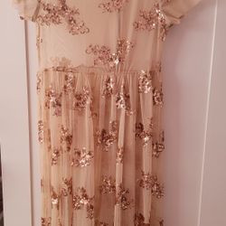 Sheer Sequin Dress