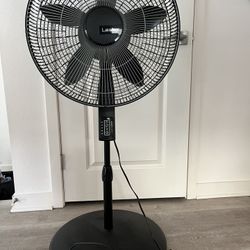 Black Oscillating Temperature Fan