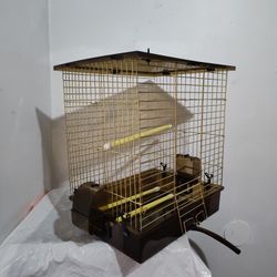 Bird Cage 