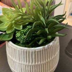 Decorative Fake Plant 2 For $10