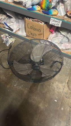 Fan