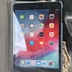 iPad Mini 2