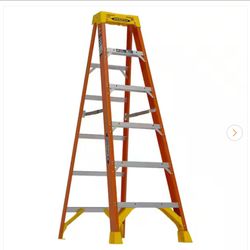 6ft Werner Fiberglass Ladder