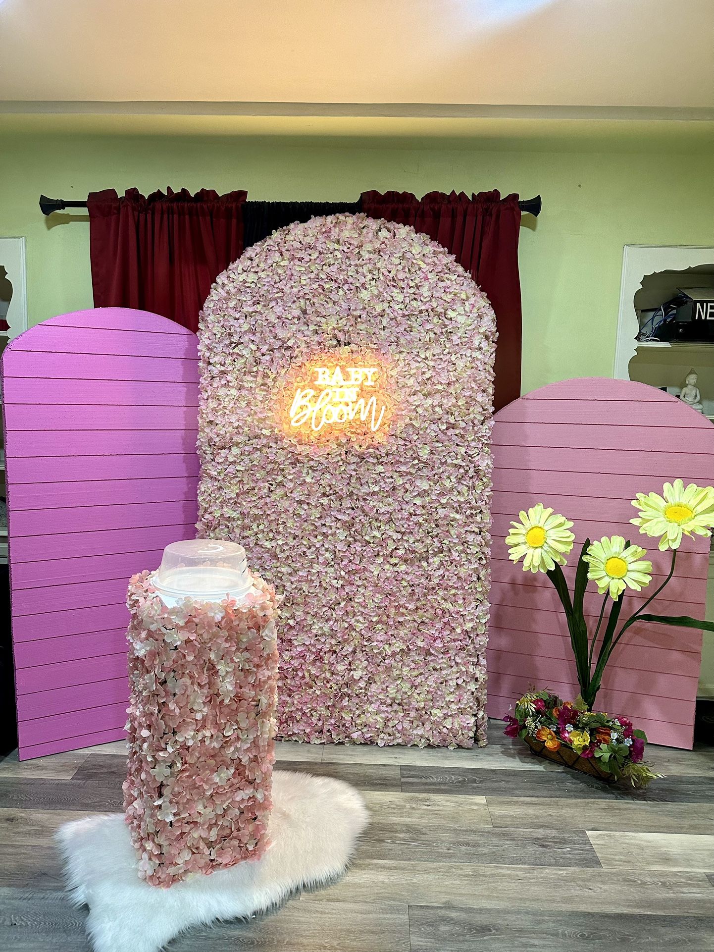 Baby In Bloom Backdrop Set Up For Sale