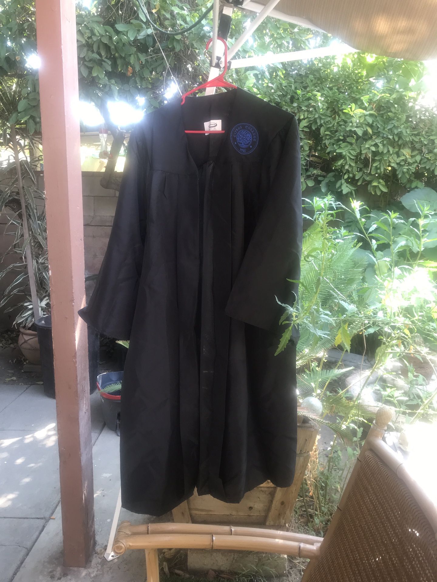 Black Graduation Gown Citrus