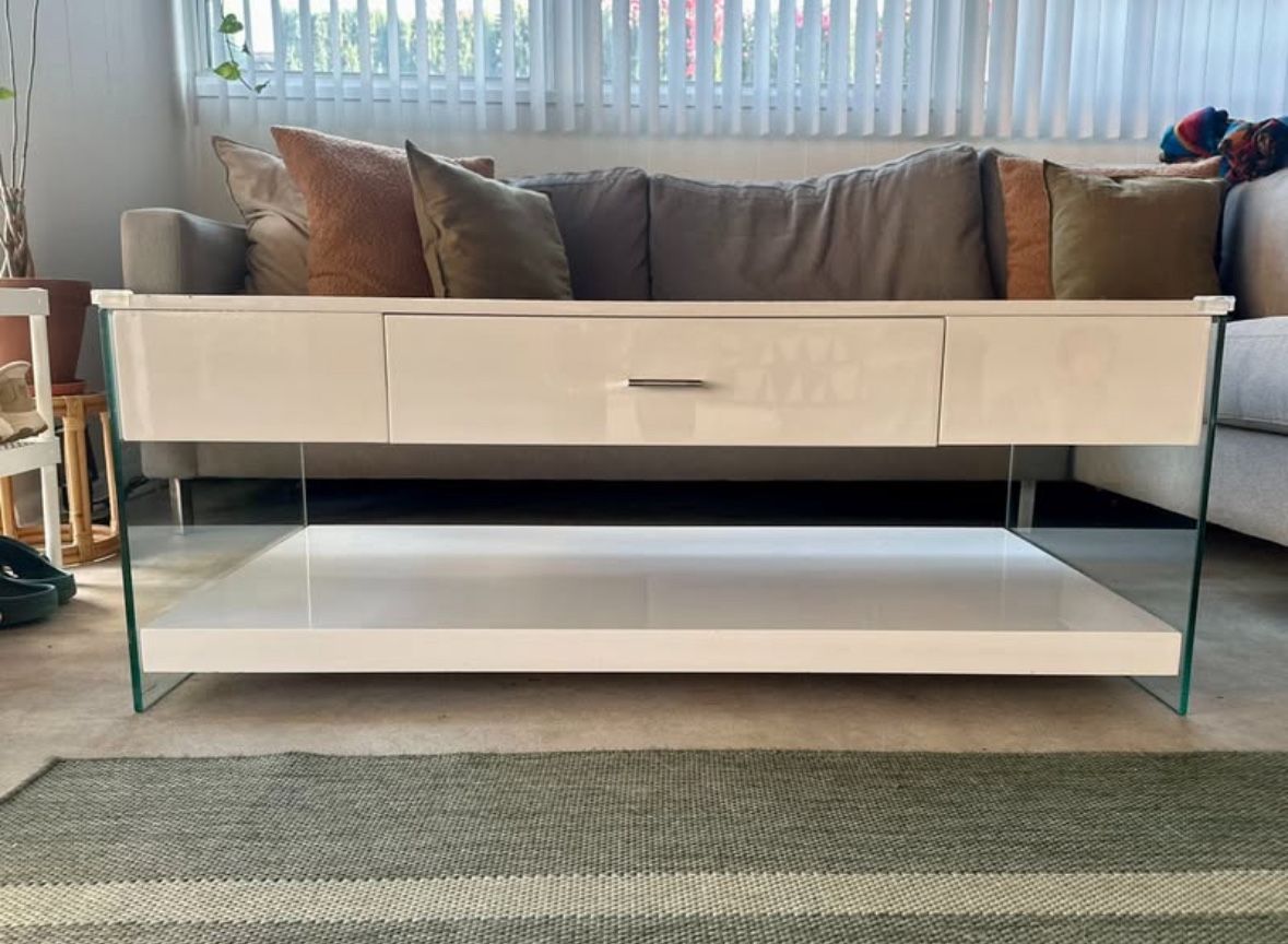 Mid Century Modern Coffee Table