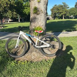 26 Inch Medusa Shimano Brakes Tires Are In The Bike Is Slightly Worn