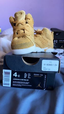 Jordan retro 6