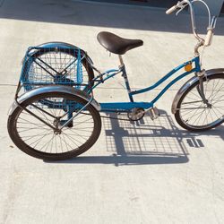 Adult Tricycle 