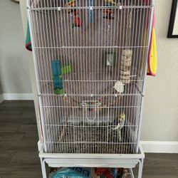 Bird Cage And Everything In It 