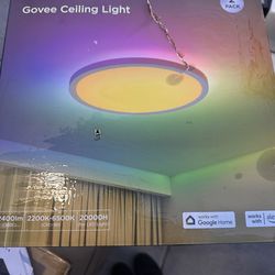 Govee Ceiling Light, 2 pack