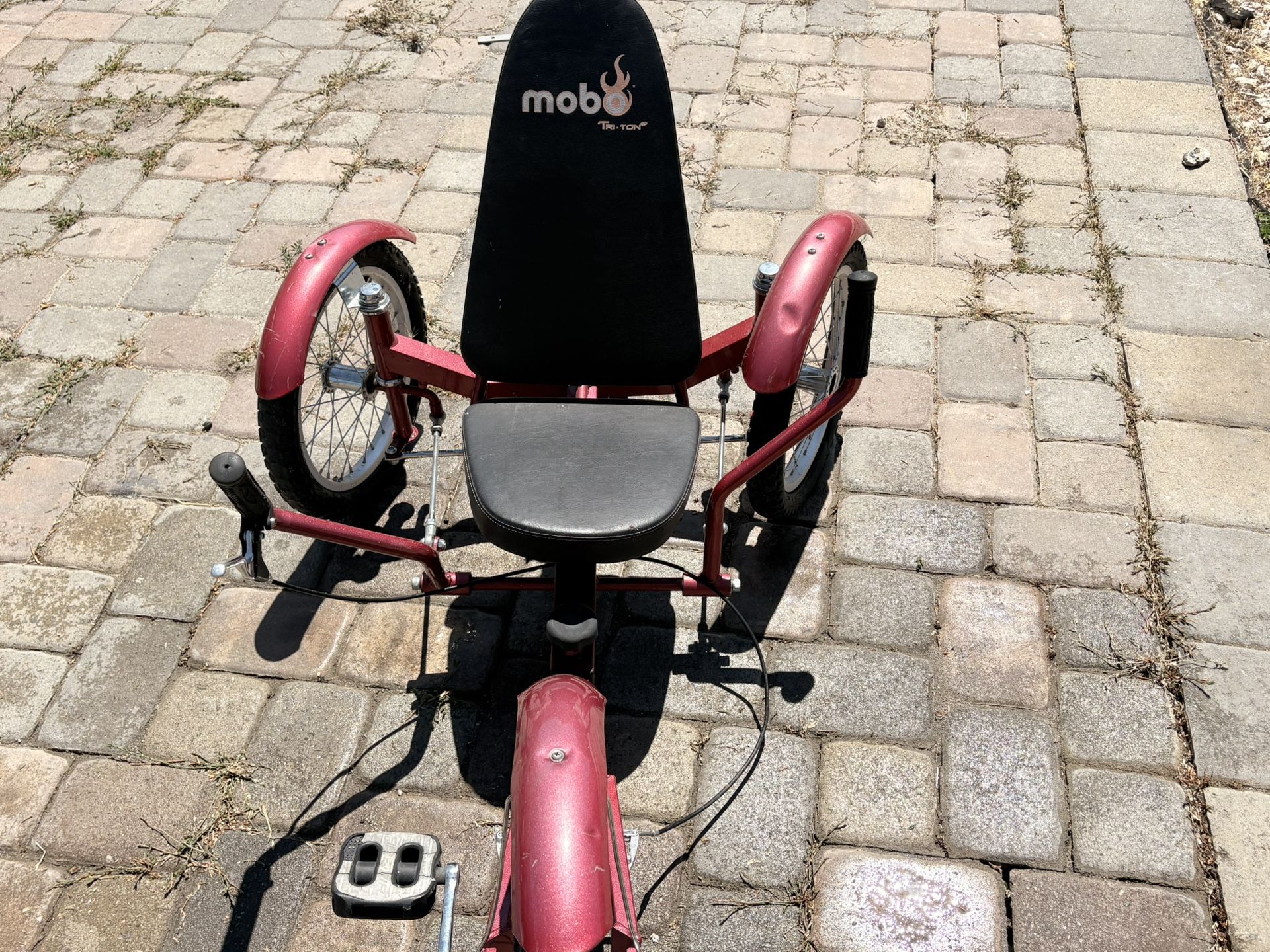 recumbent adult tricycle