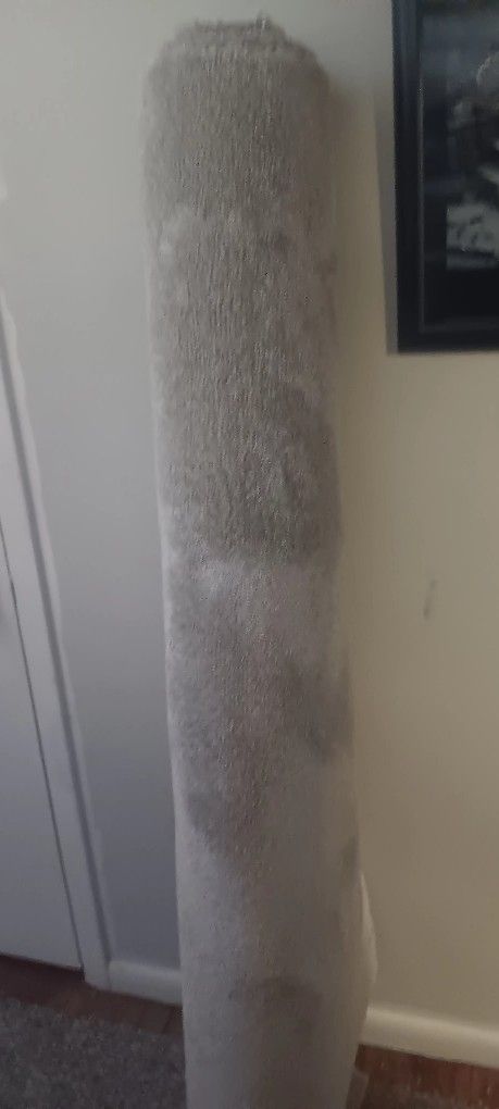 Brand new Reminite Stainmastwr Carpet