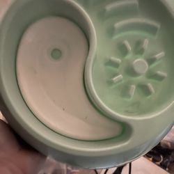 Dog Feeding Bowls