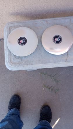 Rim caps for 96 Buick park ave.