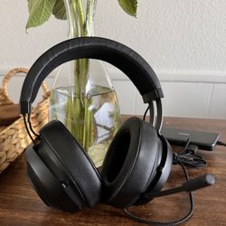 Razer Kraken Headphones