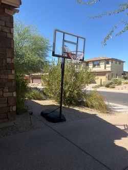Lifetime Basketball Hoop