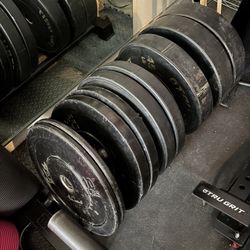 Bumper Plates 