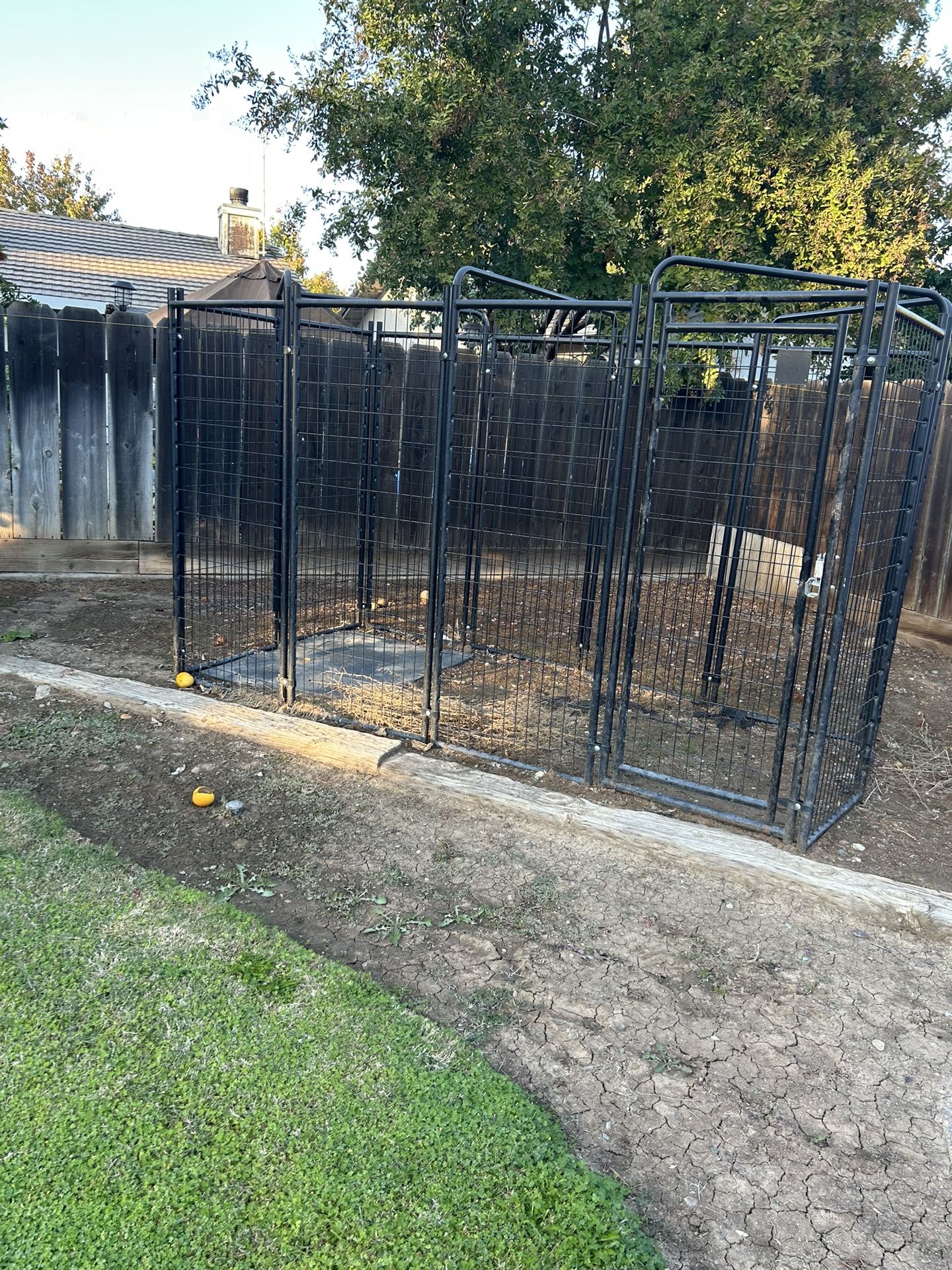 Dog Kennel