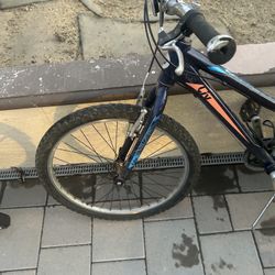 Liv Enchant Girls Mountain Bike. 