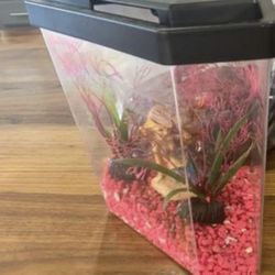 Mermaid Fish Tank