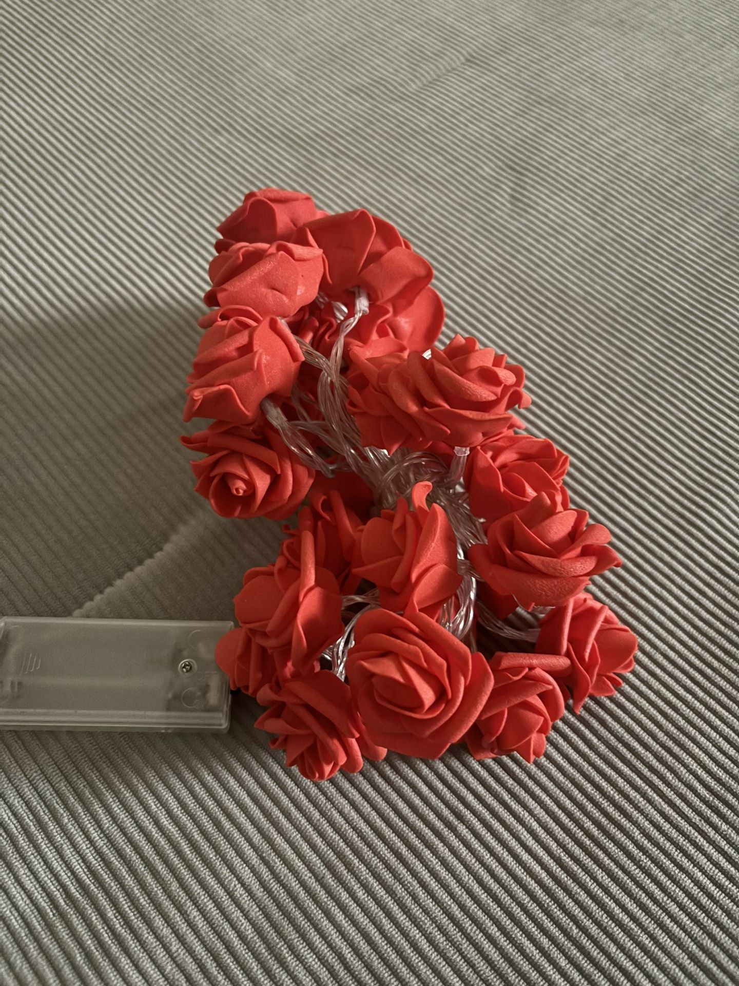 Rose Lights