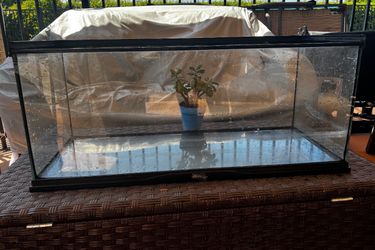 Turtle Aquarium | Used