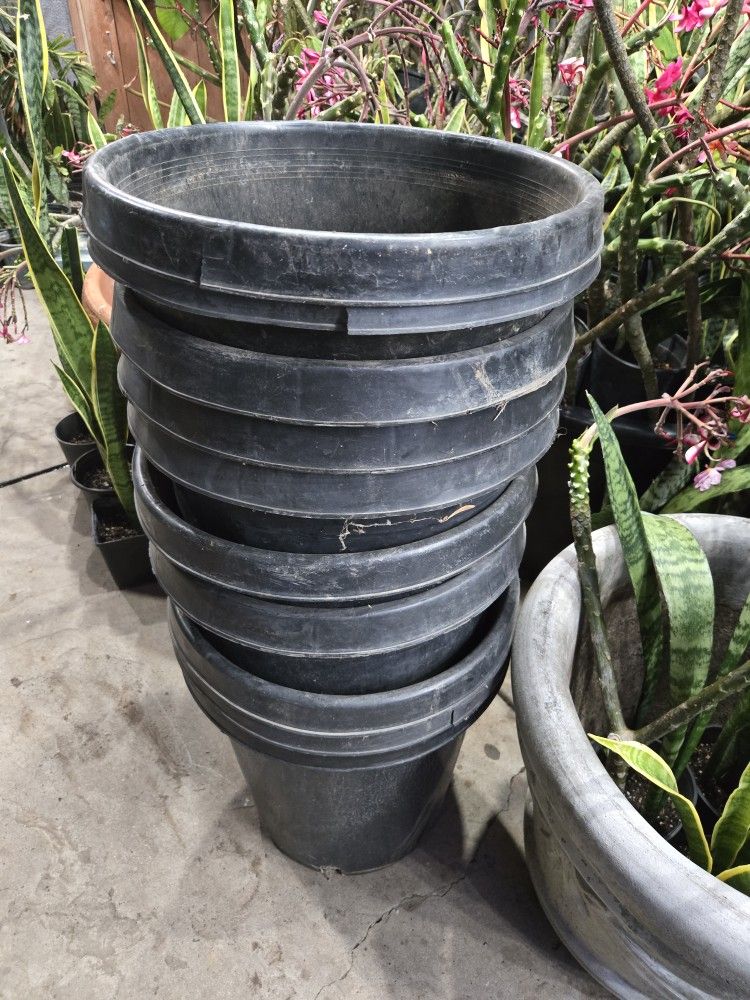 Pots 15g