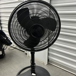 Fan