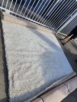 Brand New Carpet 10'x8'