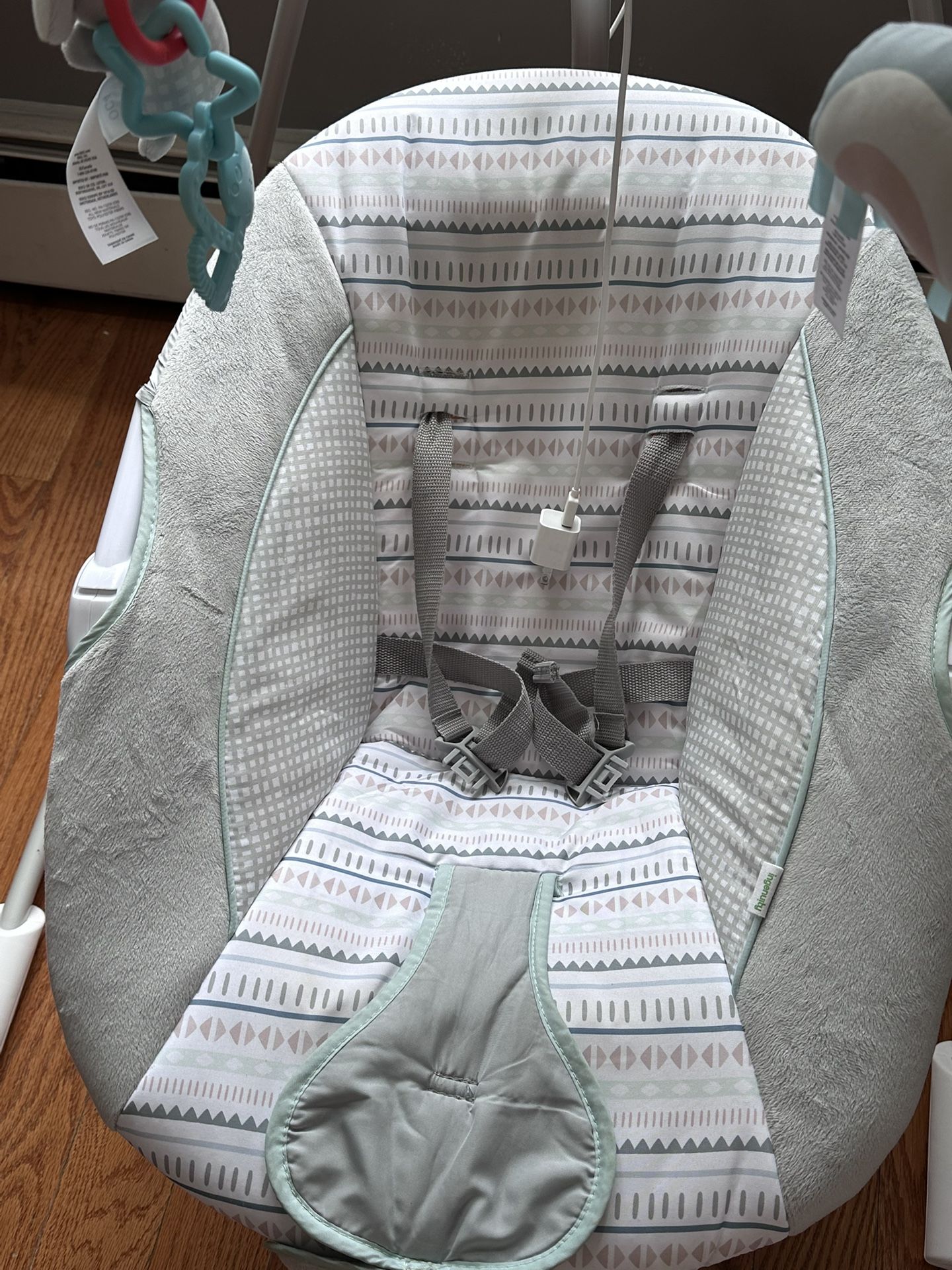 Baby Swing Ingenuity