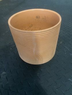 Flower Pot