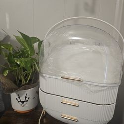 Makeup Organizer 