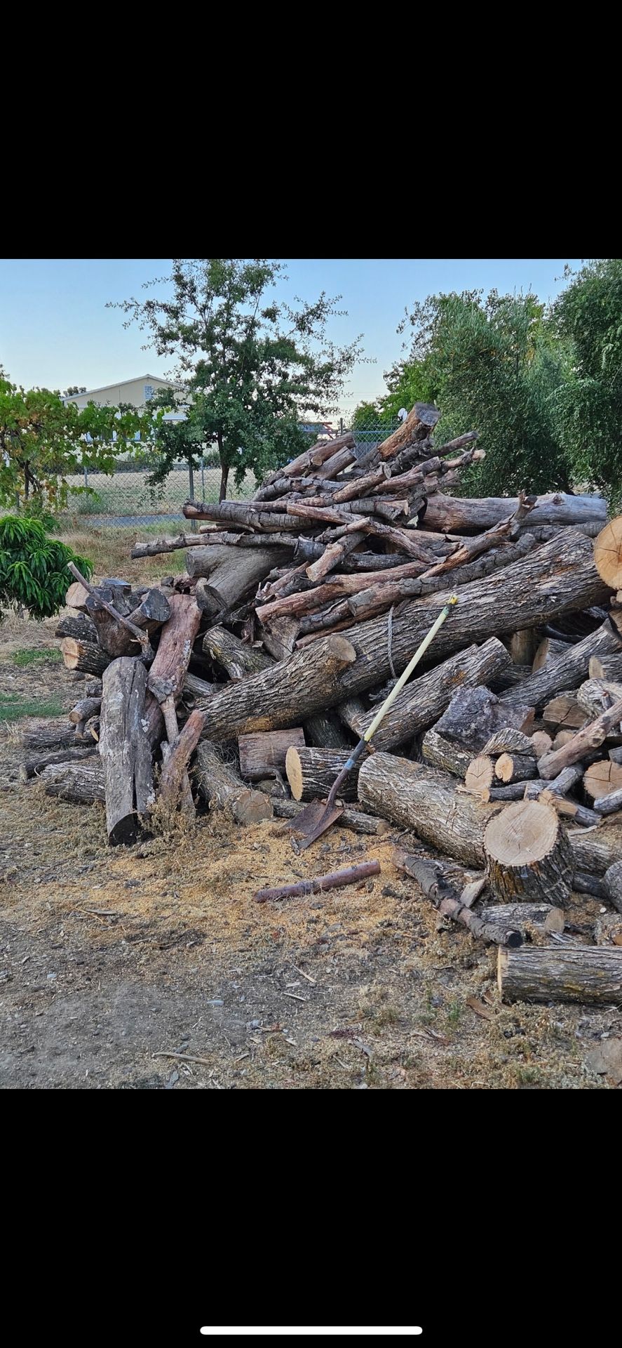 Firewood Logs For Sale