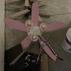 Girl Fan 