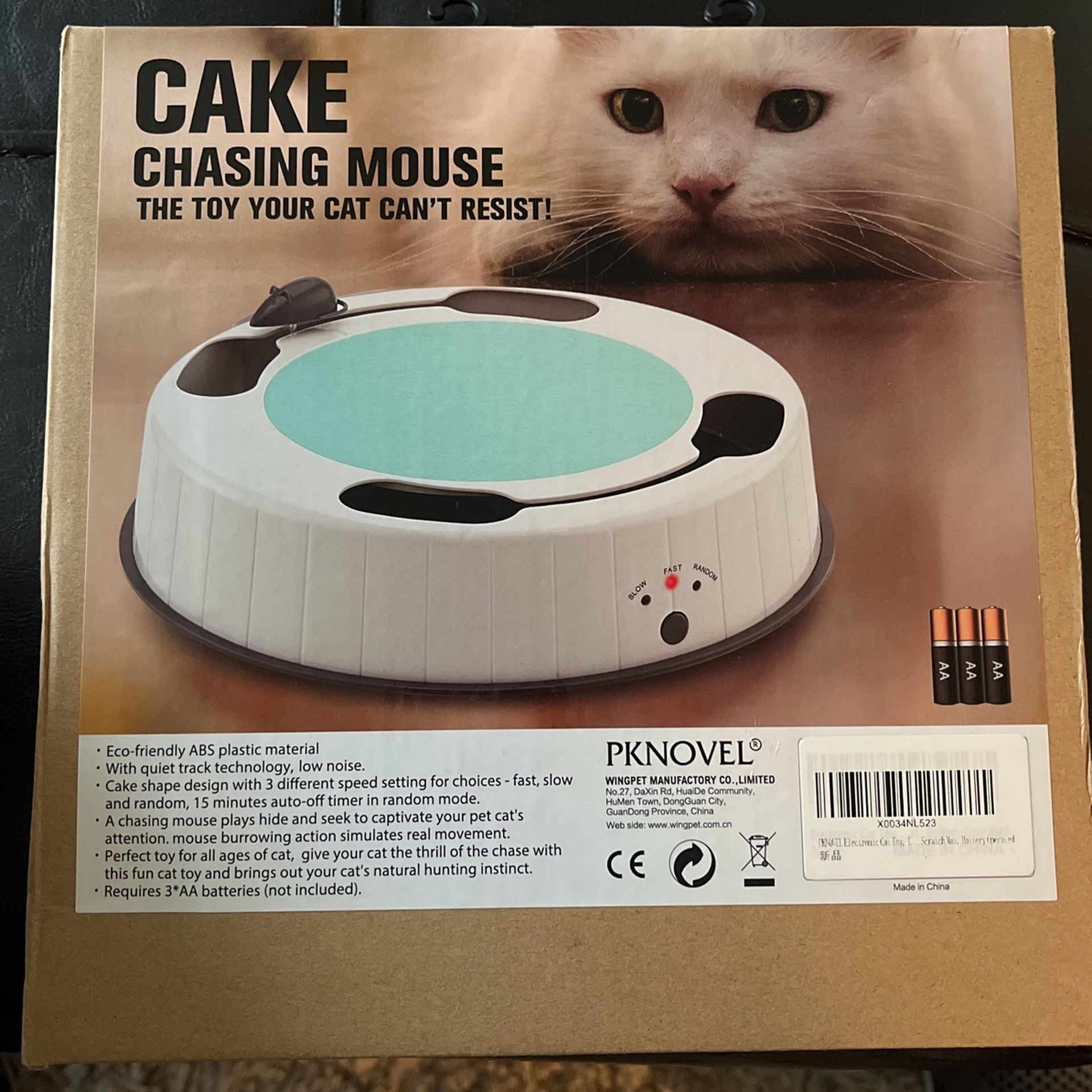 Cake Chasing Mouse
