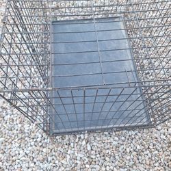 Large Dog Crate