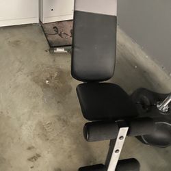 Weight Bench With Weights