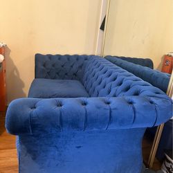 Velvet navy blue coach