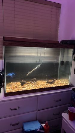 Fish tank