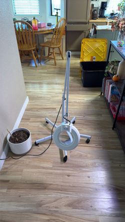 Magnifier light