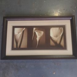 Framed Flower Print, Large