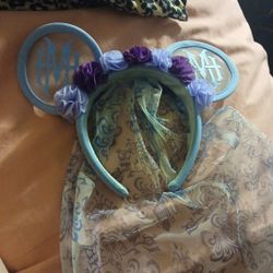 Hunting mansion disneyland Ears 