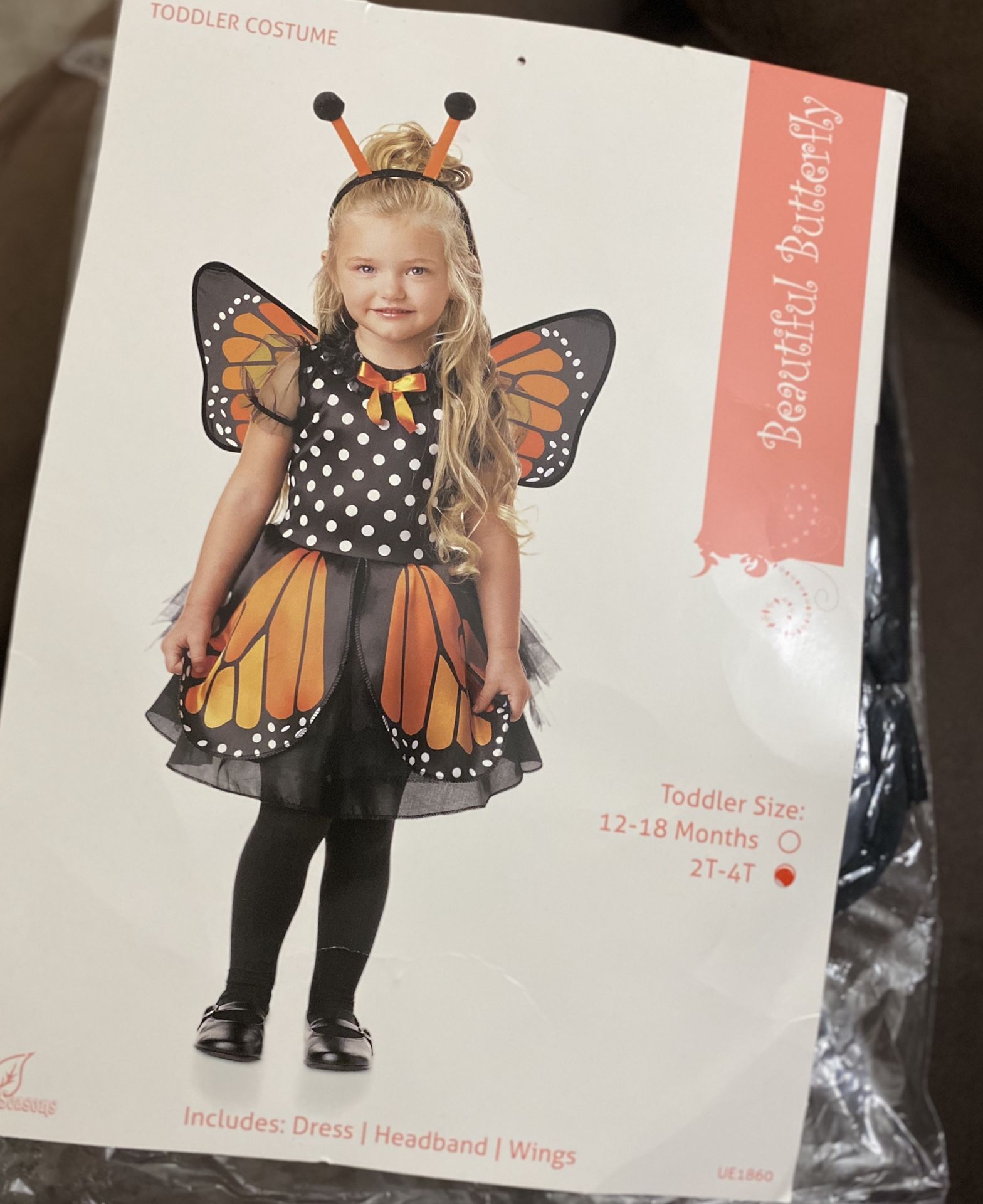 Halloween butterfly costume 2-4 yrs