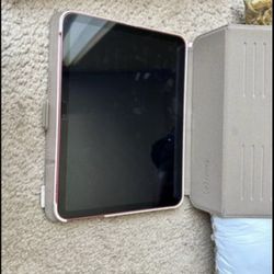 Pink Ipad 10th Generation 