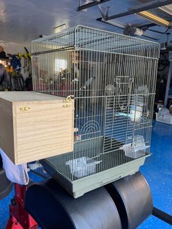 🦜 LARGE BIRD / BREEDING  CAGE – $75  🦜