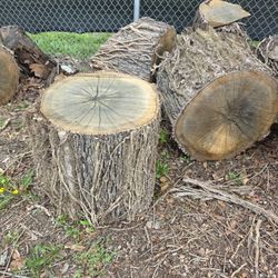 Tree Stump 