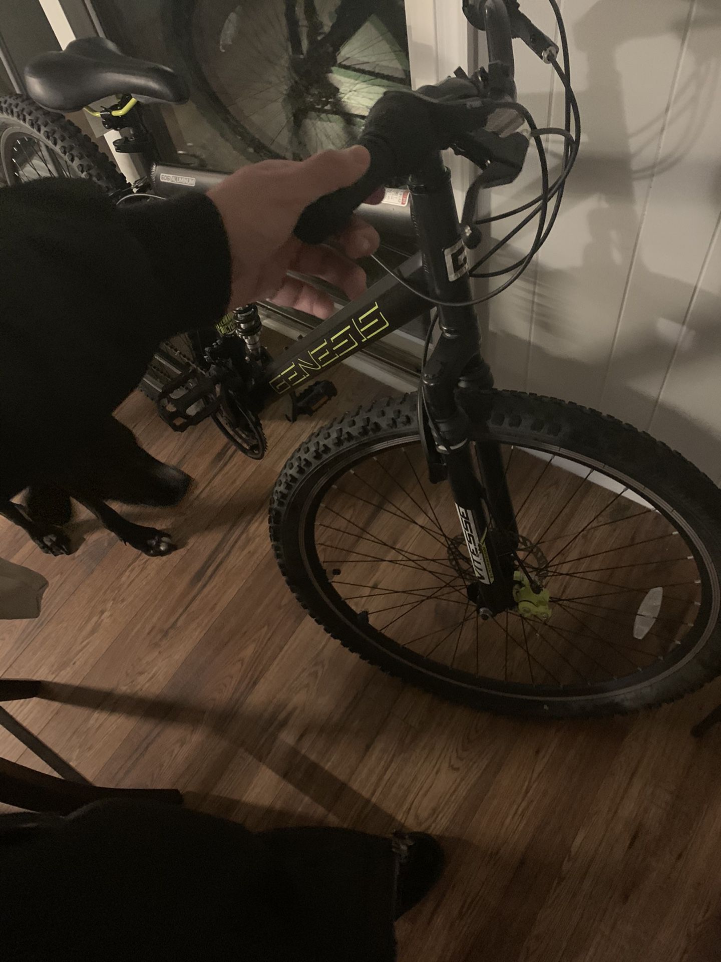 Genesis 29’ Incline Bike Black and Green